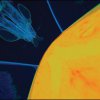 tomography-art-10