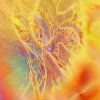 tomography-art-11