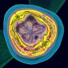 tomography-art-8